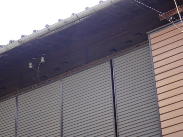 f:id:doroyamada:20180607204246j:image