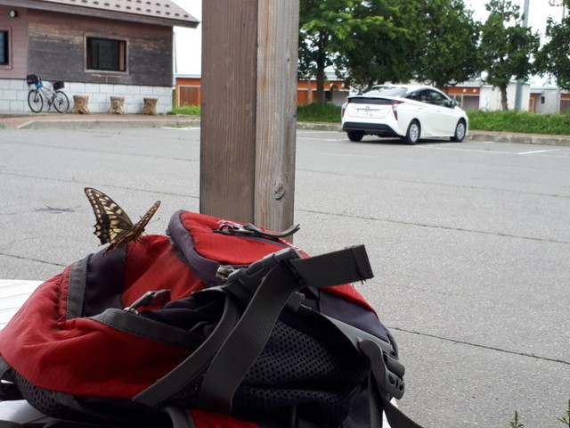 f:id:doroyamada:20180807210825j:image f:id:doroyamada:20180807210825j:image