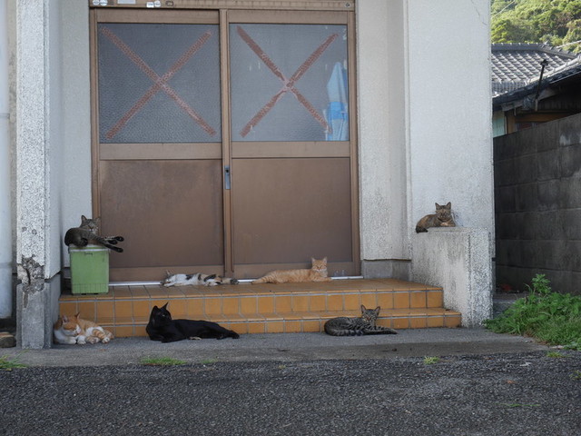 f:id:doroyamada:20180926210752j:image