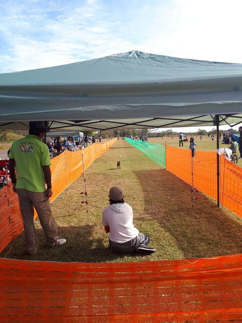 f:id:doroyamada:20181124224140j:image