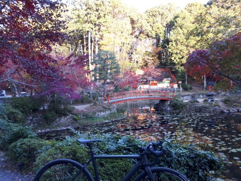 f:id:doroyamada:20181126064332j:plain