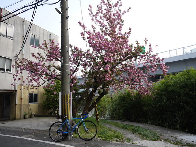 f:id:doroyamada:20190424210657j:image f:id:doroyamada:20190424210657j:image