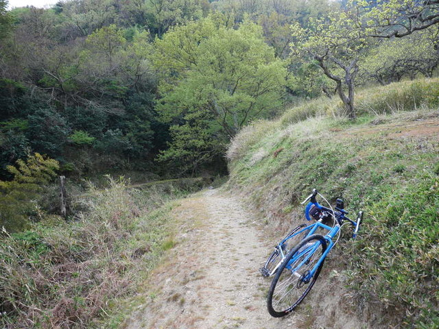 f:id:doroyamada:20190424210709j:image f:id:doroyamada:20190424210709j:image