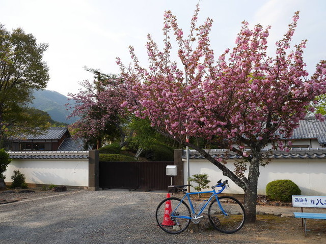 f:id:doroyamada:20190424210721j:image f:id:doroyamada:20190424210721j:image