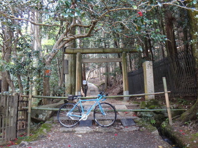 f:id:doroyamada:20190503214738j:image f:id:doroyamada:20190503214738j:image