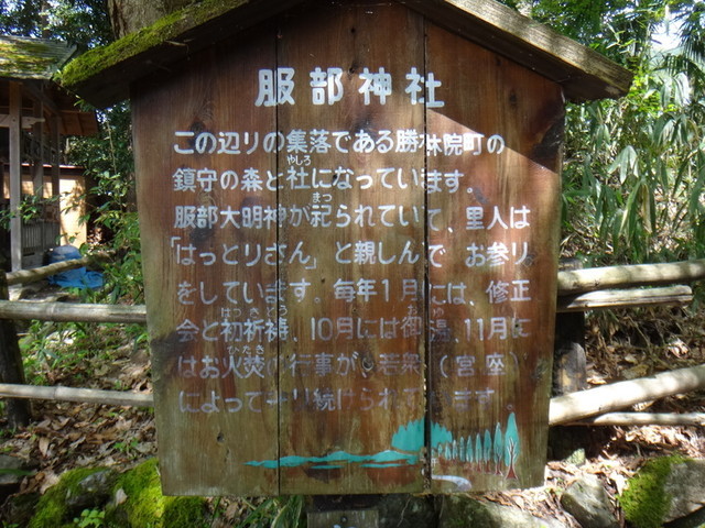 f:id:doroyamada:20190503214749j:image f:id:doroyamada:20190503214749j:image