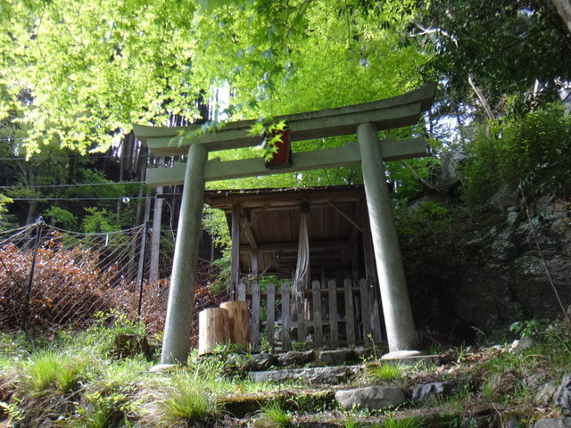 f:id:doroyamada:20190503214851j:image f:id:doroyamada:20190503214851j:image