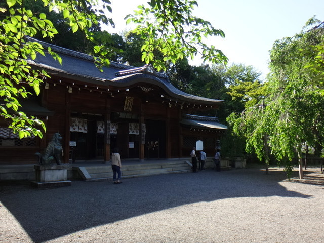 f:id:doroyamada:20190504195720j:image