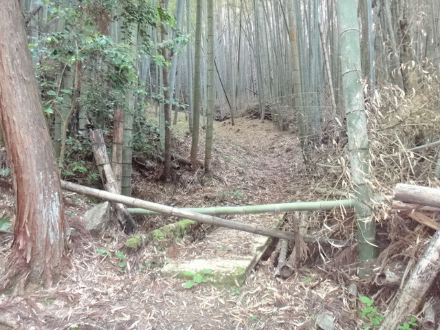 f:id:doroyamada:20190504195733j:image