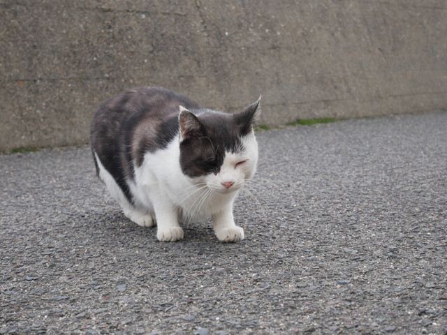 f:id:doroyamada:20191106205001j:image