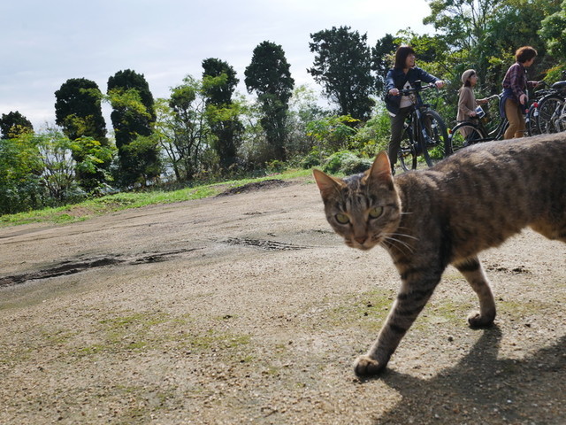 f:id:doroyamada:20191106205026j:image