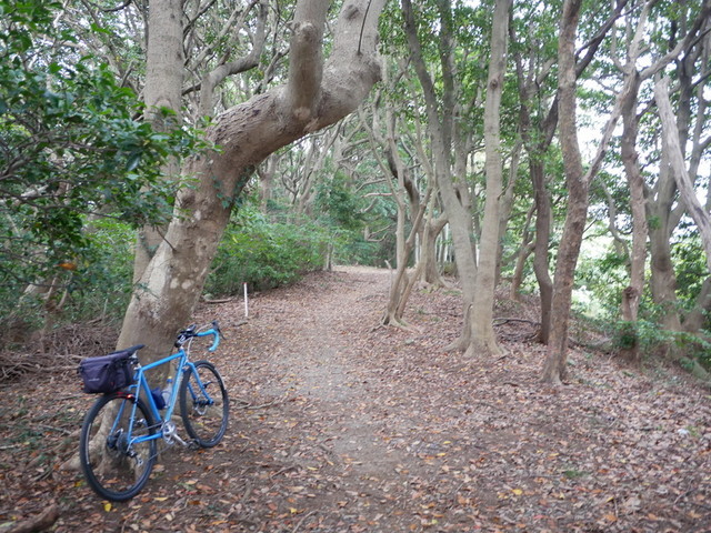 f:id:doroyamada:20191125222212j:image