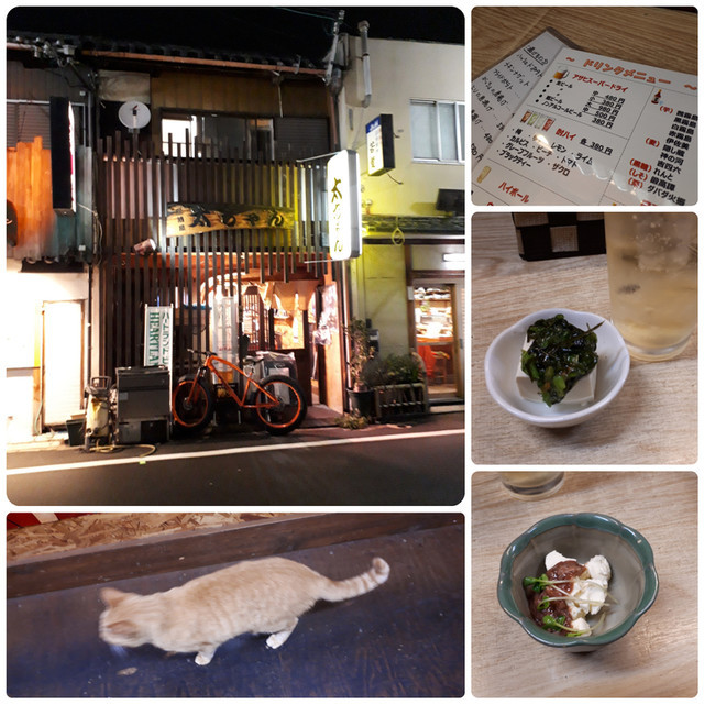 f:id:doroyamada:20191214193842j:image