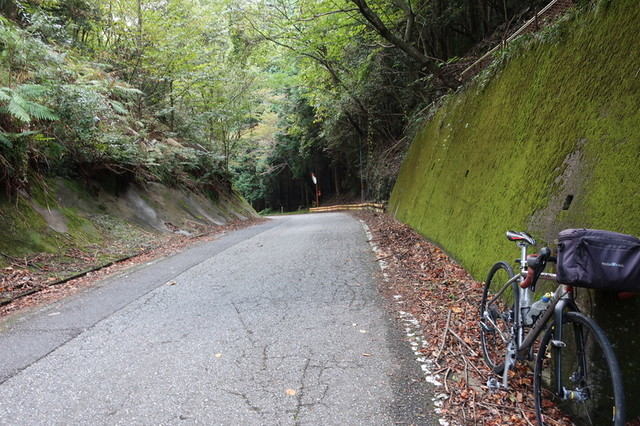 f:id:doroyamada:20201022212923j:image f:id:doroyamada:20201022212923j:image