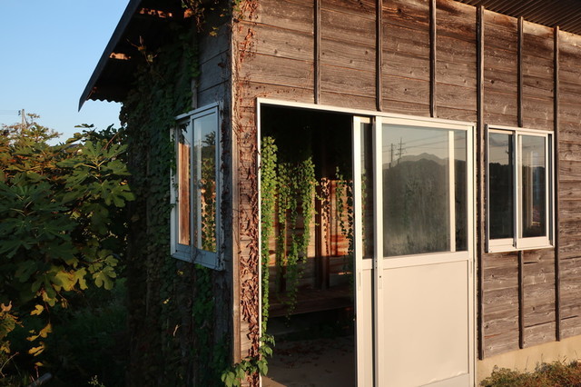 f:id:doroyamada:20201022213052j:image f:id:doroyamada:20201022213052j:image