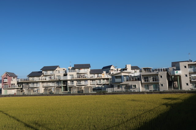 f:id:doroyamada:20201123090916j:image