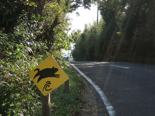 f:id:doroyamada:20201123091042j:image