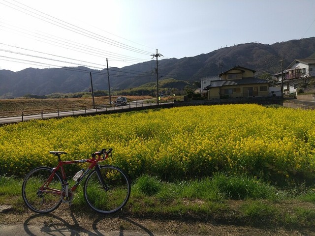 f:id:doroyamada:20210315123714j:image