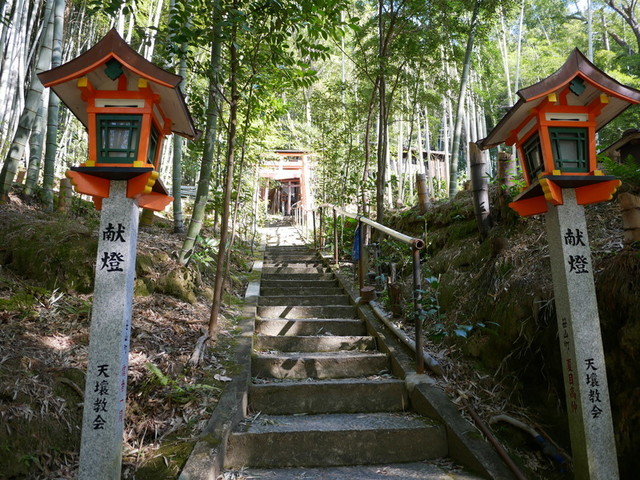 f:id:doroyamada:20210323185456j:image