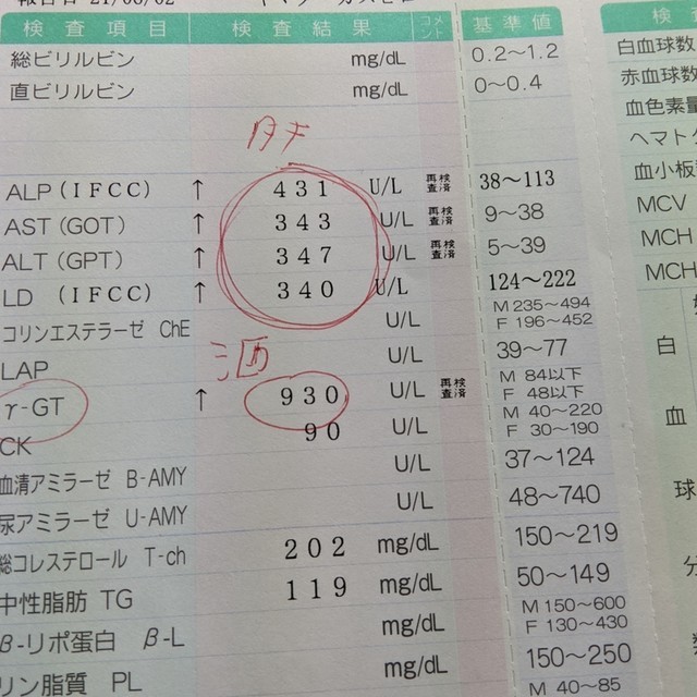 f:id:doroyamada:20210619213836j:image
