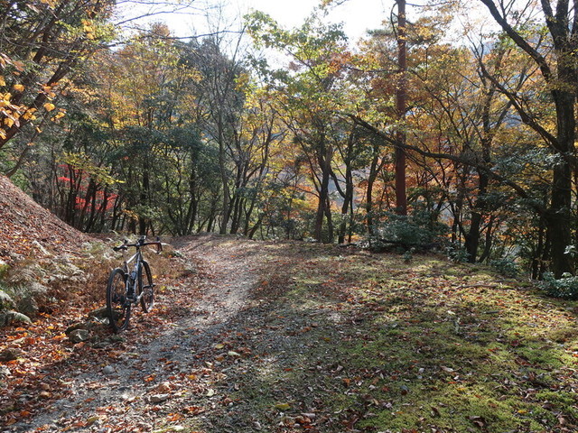 f:id:doroyamada:20211121220323j:image