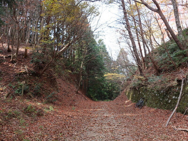 f:id:doroyamada:20211121220332j:image