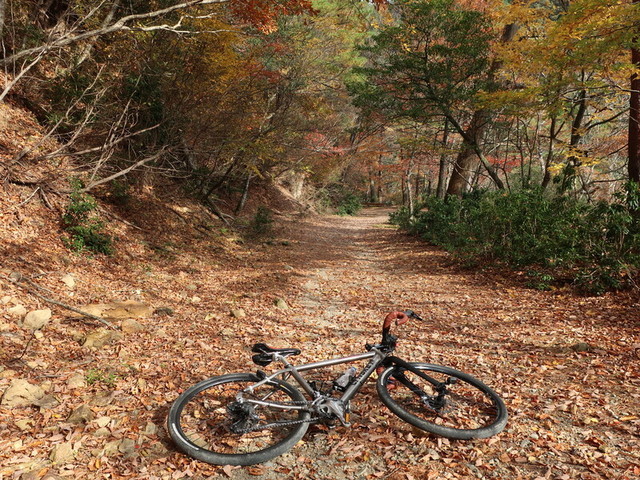 f:id:doroyamada:20211121220342j:image