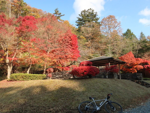 f:id:doroyamada:20211121220355j:image