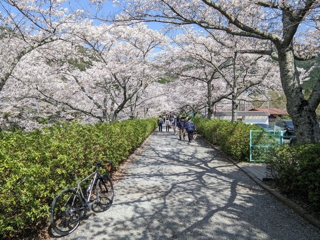 f:id:doroyamada:20220409223716j:image