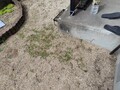 20250713161312