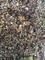 20251109141944