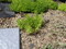 20260827173411