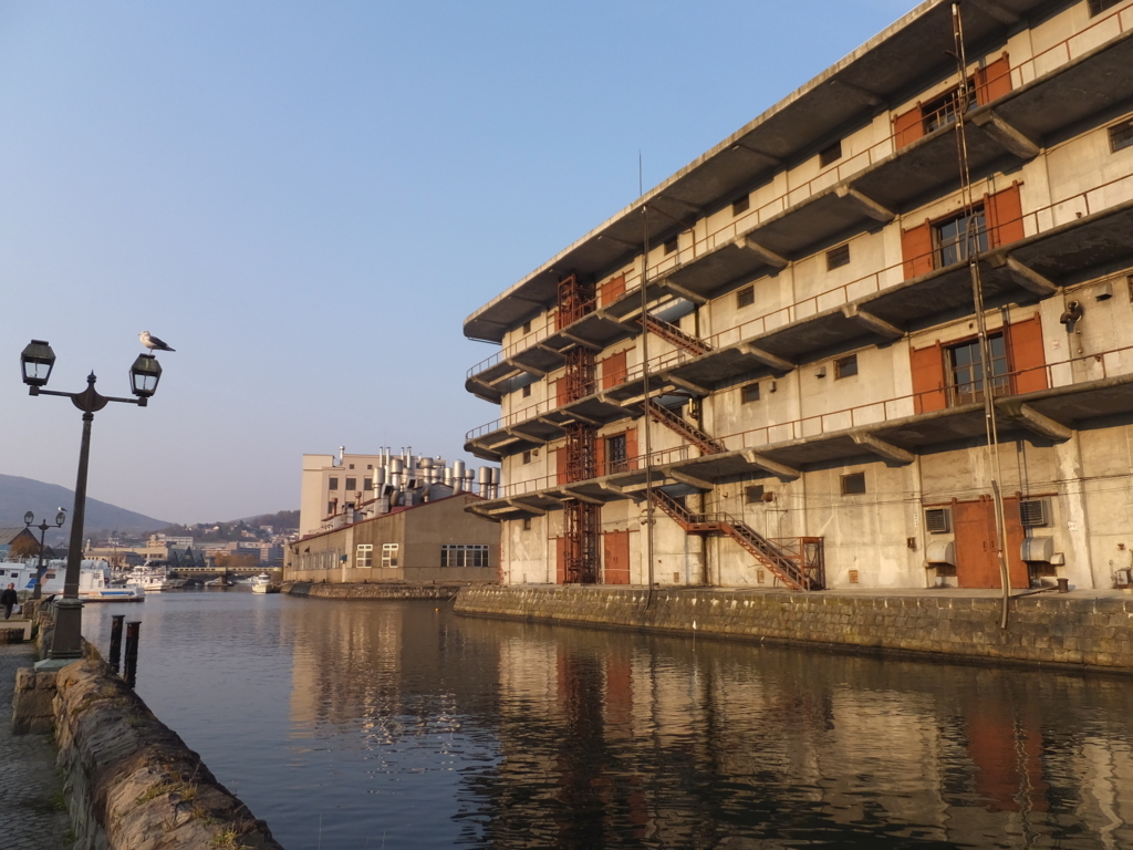 f:id:dorphin-rider:20180202220448j:plain