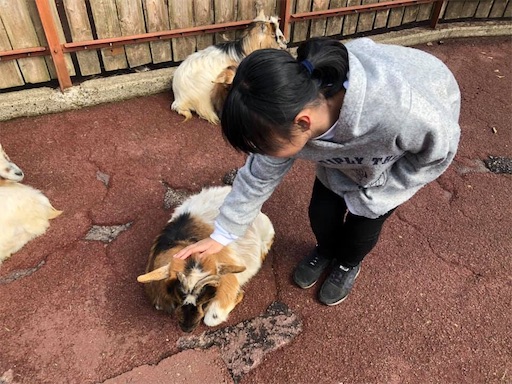 f:id:doruki:20191212123843j:image