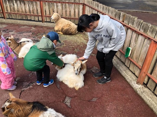 f:id:doruki:20191212123857j:image