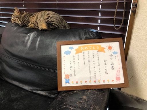 f:id:doruki:20191212131100j:image