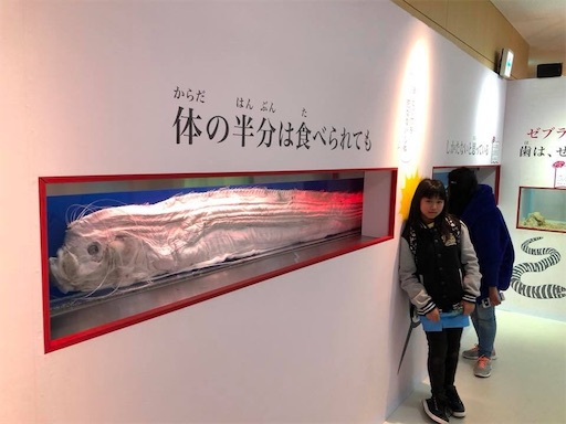 f:id:doruki:20191212133906j:image