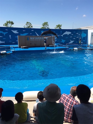 f:id:doruki:20191212141215j:image