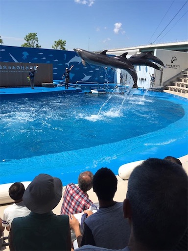 f:id:doruki:20191212141223j:image