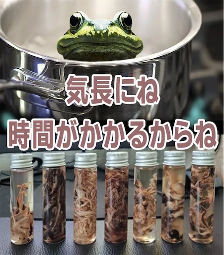 f:id:doruki:20230317065306j:image