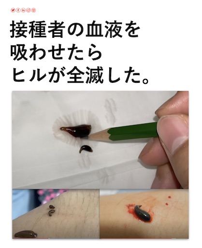 f:id:doruki:20230319064749j:image f:id:doruki:20230319064749j:image
