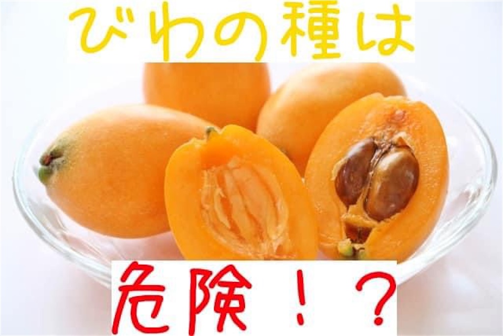 f:id:doruki:20230515124346j:image f:id:doruki:20230515124346j:image