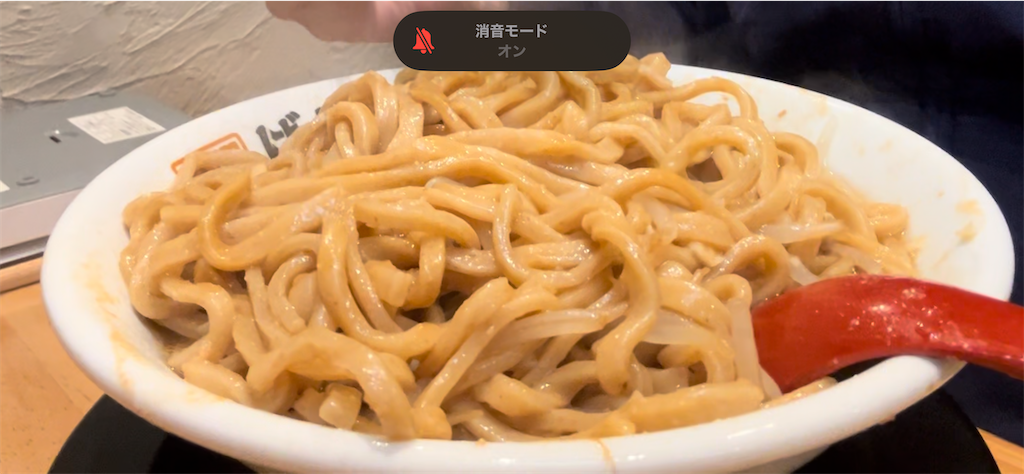 f:id:doruki:20241112192553p:image