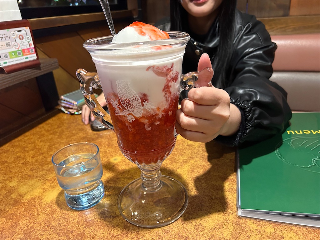 f:id:doruki:20241121065546j:image