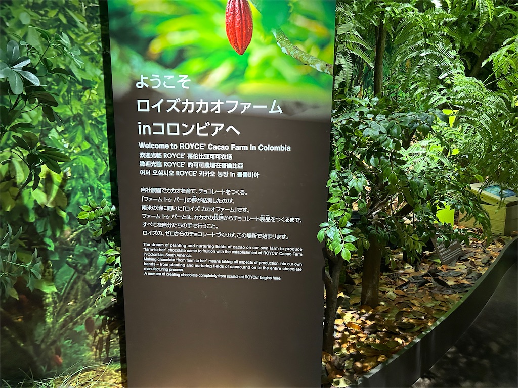 f:id:doruki:20250314172154j:image