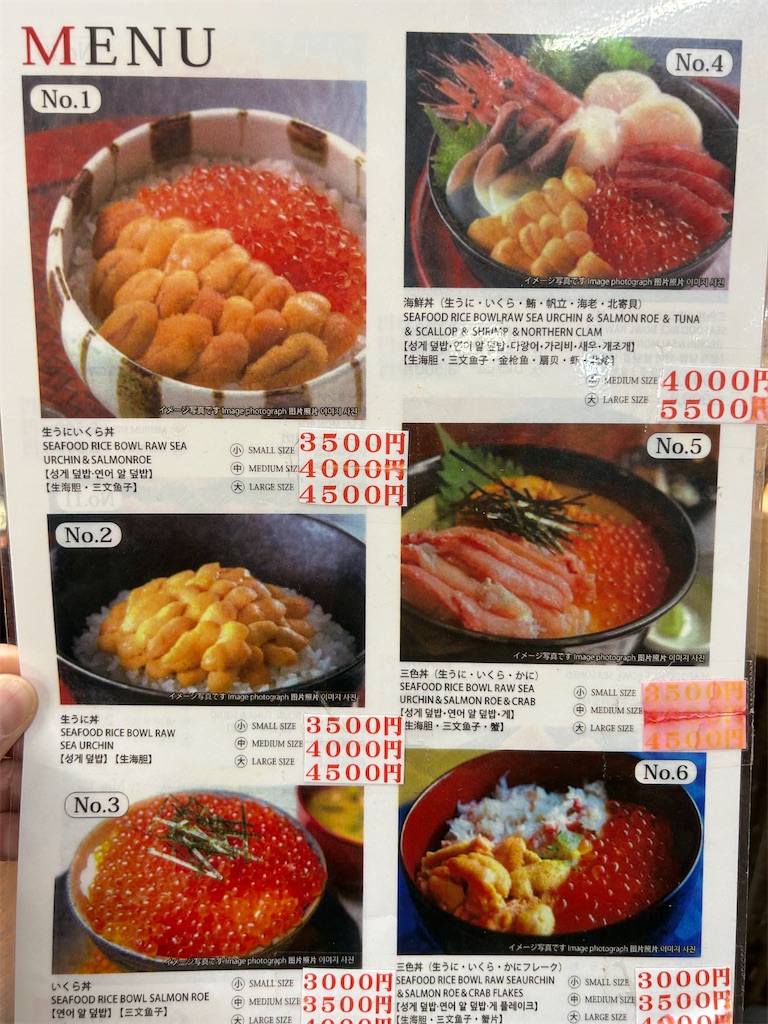 f:id:doruki:20250316065536j:image f:id:doruki:20250316065536j:image