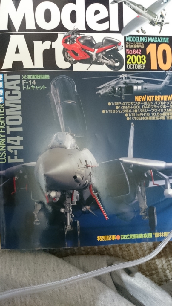 ハセガワ クリエイターズワークス 1/48 F-14A エリア88ミッキー