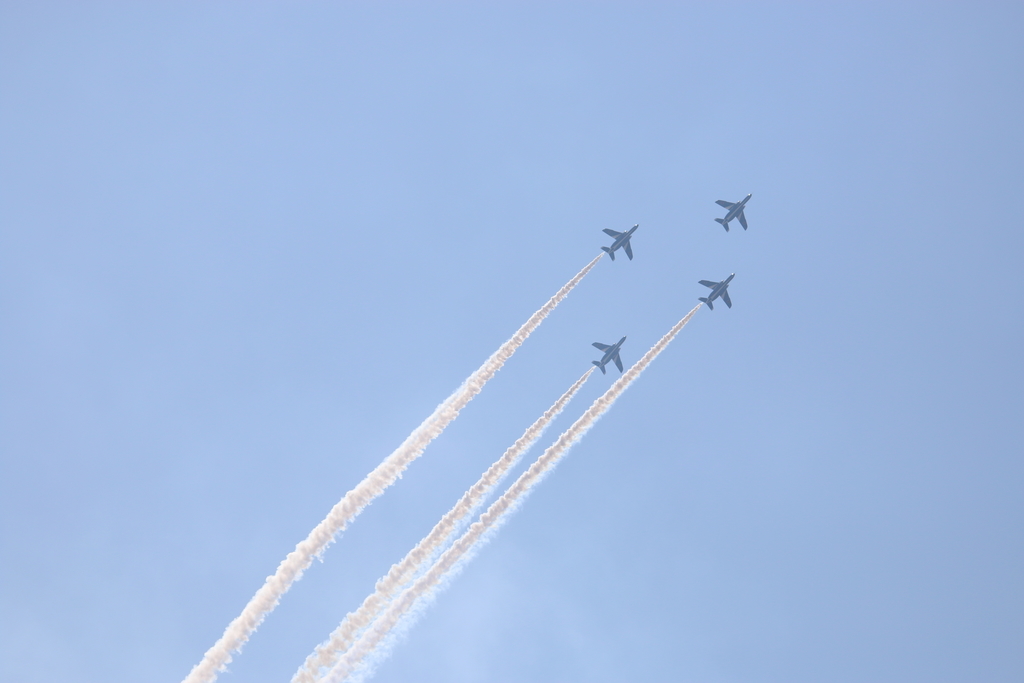 f:id:dosaken1206:20190305000649j:plain f:id:dosaken1206:20190305000649j:plain