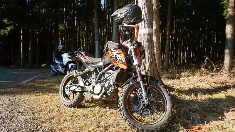イメージ 3