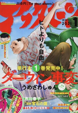 アフタヌーン 2021年1月号